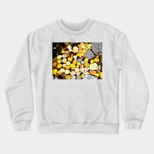 Aspen Leaves and Fall Colors in Colorado Crewneck Sweatshirt